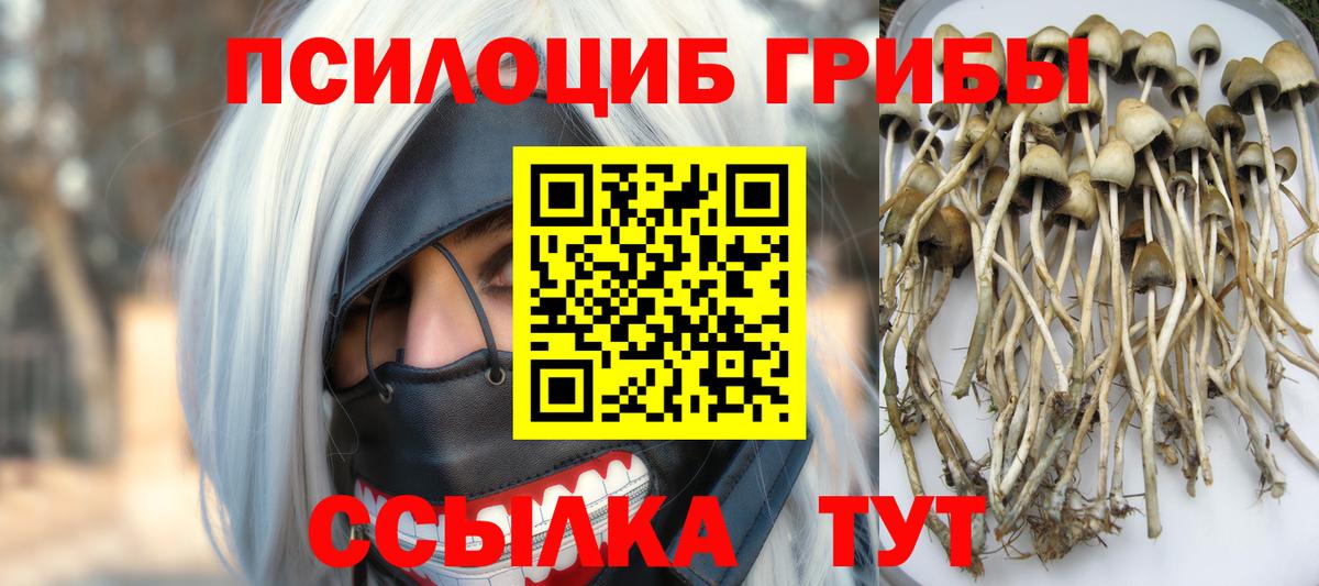 Галлюциногенные грибы мицелий Первоуральск